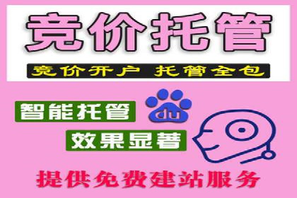 关键词竞价排名策略案例分析