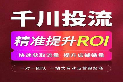 某企业SEM广告投放的ROI提升策略及效果展示